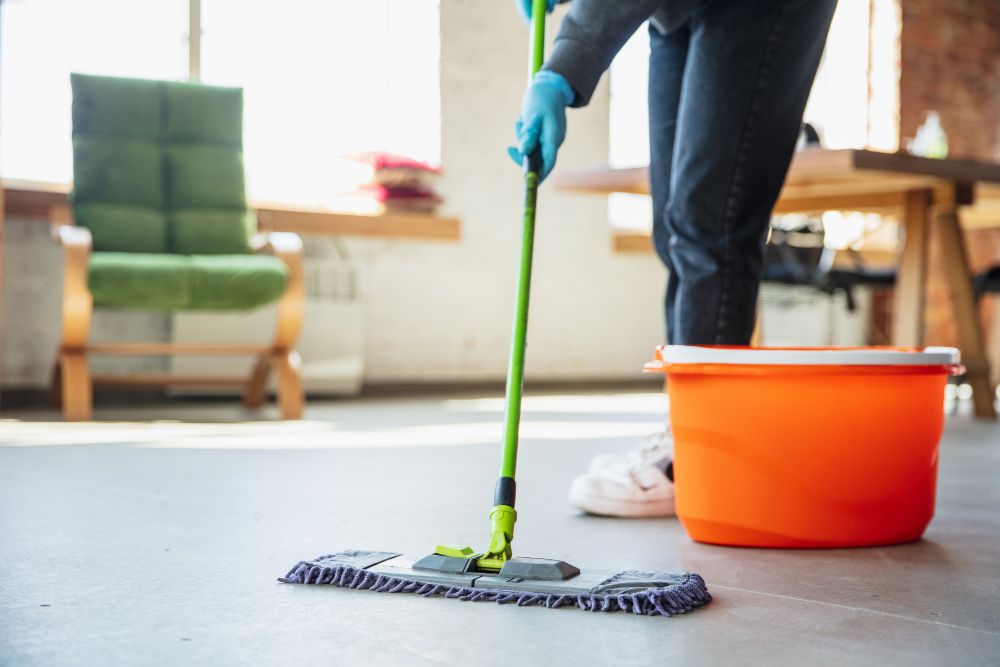 Disinfecting in Home